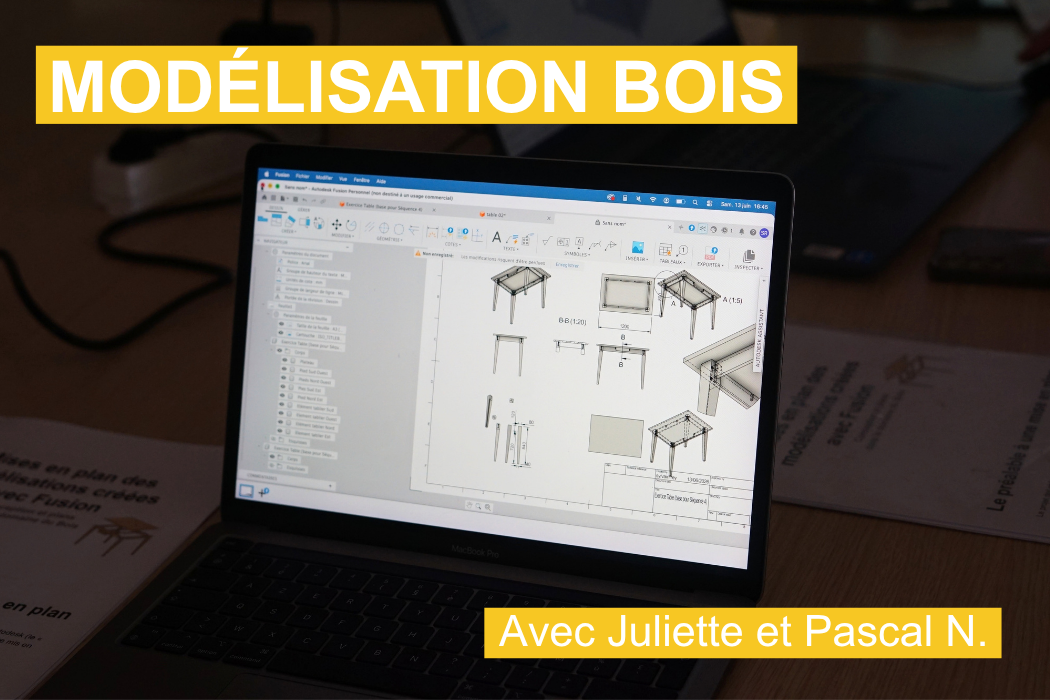 Modélisation bois